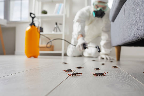 Commercial Kitchen Cockroach Control in Rancho Palos Verdes